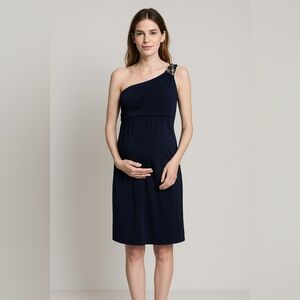 Rosie Pope for a Pea in the Pod Maternity Navy Blue Short Dress Size S